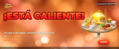 Discover the casino excitement